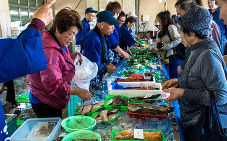ふぐのたたき 1パック(約200g) フグ 海鮮【石川県漁業協同組合小松支所】