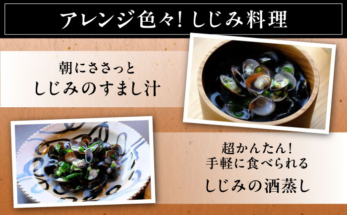 【全6回定期便】地元でも入手困難なレアサイズ！ Lサイズ 宍道湖産ヤマトシジミ(冷凍砂抜き済み)1kg×3袋(3kg) 島根県松江市/宍道湖漁業協同組合 [ALAZ007]