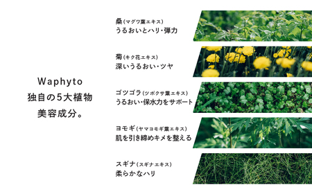 Waphyto インティメイト オイル 30ml ワフィト