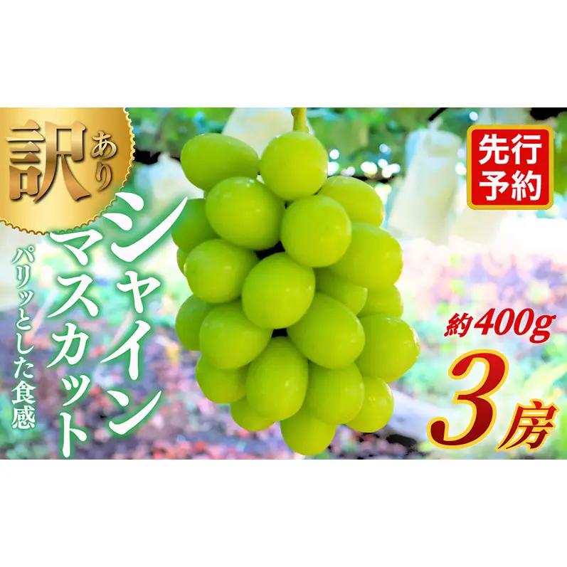 【★先行予約】【訳あり】長野県産シャインマスカット 約400g×3房 見た目にワケあり 味はそのまま 果物 旬のフルーツ 長野県 上田 信州