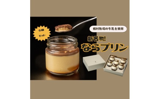 新しい新名物！ならプリン誕生！６個セット 濃厚 プリン スイーツ プリン なめらか プリン 食べ比べ プリン 奈良 プリン 洋菓子 こだわり プリン 土産 プリン 冷蔵 プリン 贈り物 プリン こだわり スイーツ プレーン プリン 奈良 スイーツ  8-007