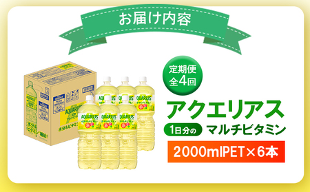 【定期便：全4回】アクエリアス 1日分のマルチビタミン　2LPET×6本【380088】