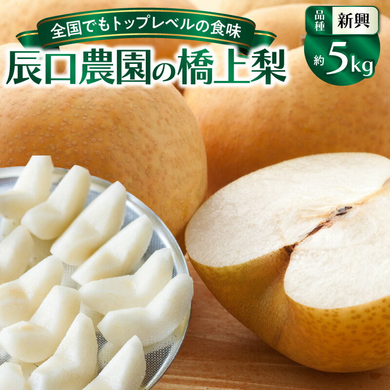 【ふるさと納税】【先行予約】令和7年発送 /辰口農園の橋上梨約5kg（品種:新興）