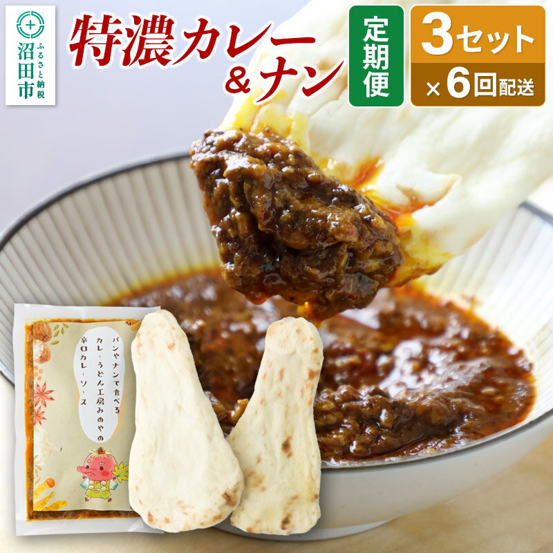 【ふるさと納税】《定期便6回》みのや 特濃カレー＆ナン 3セット