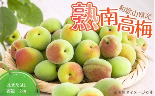 
                  【梅干・梅酒用】（2LまたはL－2Kg）熟南高梅＜2027年6月上旬～7月7日発送予定＞【ART04】/ 梅 梅干し ウメ 青梅 生梅 梅シロップ フルーツ 果物 くだもの 食品 人気 おすすめ 送料無料【art010B】
                