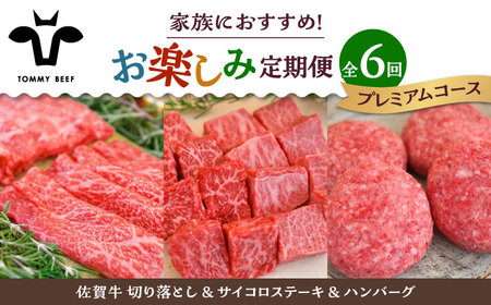 【6回定期便】佐賀牛 家族向け お楽しみ 定期便 / 牛肉 [IAH219]