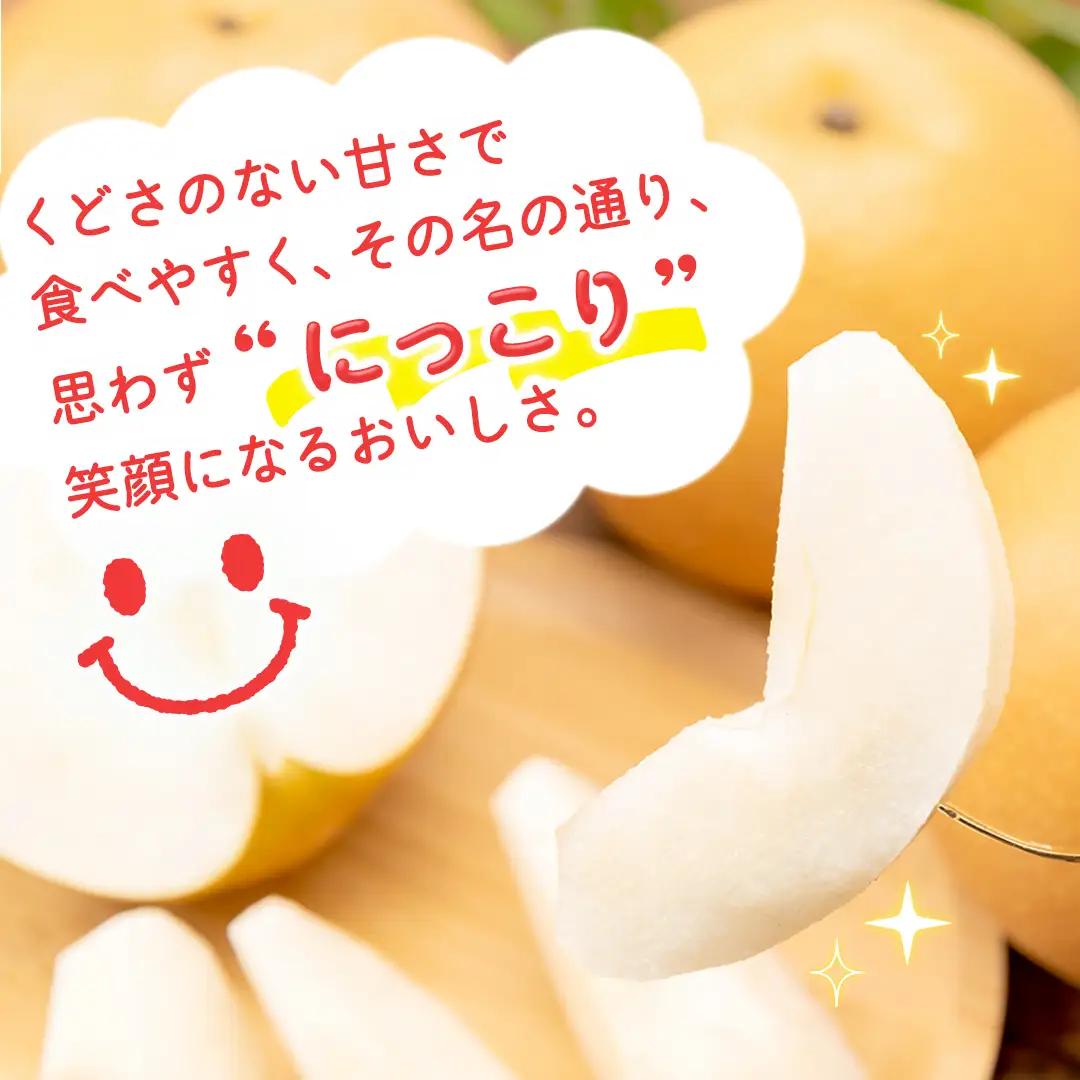 にっこり 梨 約3kg 【2026年10月より発送開始】（茨城県共通返礼品 [梨]：大子町産）