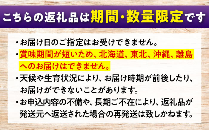 期間限定/8月下旬～9月上旬頃発送 沼隈ぶどう「ピオーネ」 約2kg×3 (12～15房)種なし 広島県福山市/福山市農業協同組合　沼隈グリーンセンター ぶどう ブドウ 葡萄 種なし 大粒 [BAEV