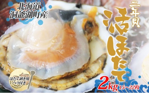 約2kg！活ほたて2年貝(15枚～22枚)
