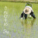 【ふるさと納税】新米 令和6年産 鳥取県南部町産 きぬむすめ 5kg 特A 米 お米 こめ おこめ コメ 白米 精米 玄米 無洗米 真空パック 備蓄 備蓄米 長期保存 ドットクルー