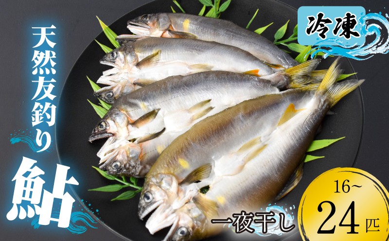 
                  【期間限定】天然友釣り鮎 一夜干し 鮎 16~24尾 4袋 冷凍 アユ 鮎干物 一夜干し 干物 天然鮎 川魚 鮮魚 鮎 あゆ 友釣り鮎 あゆ 期間限定 鮮度抜群 香魚 処理済み 生あゆ 天然 鮎 小分け 個包装 便利 高知県 安芸市
                