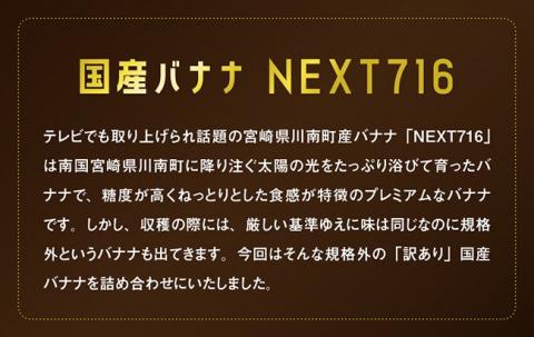 【訳あり】国産ミニバナナ1kg【国産 バナナ 無農薬 フルーツ 果物 デザート 朝食 スムージー 川南町】[F5801]