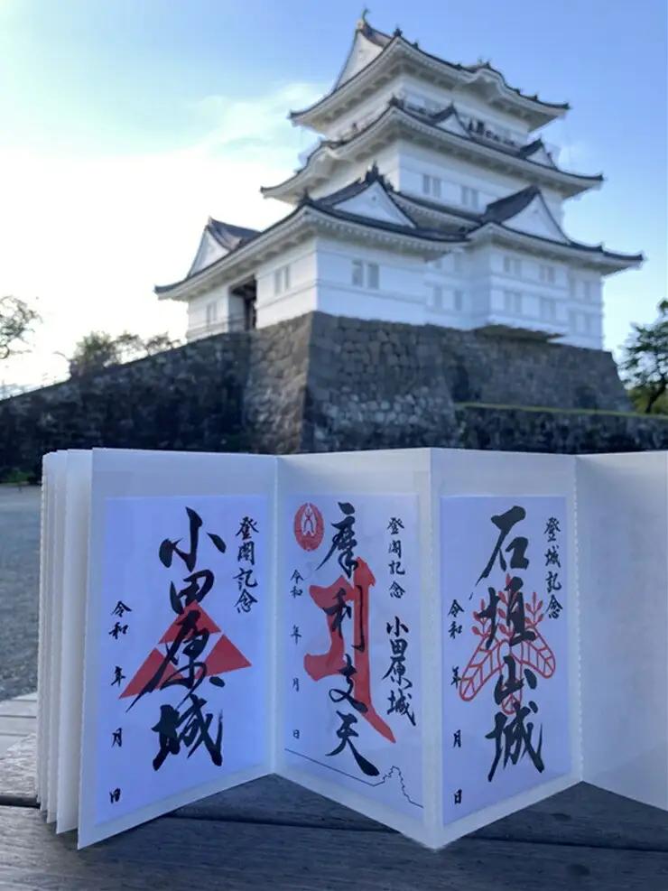 小田原城御城印・御城印帳・石垣山城御城印セット【小田原城 石垣山城 小田原御城印 朱印 一夜城Yoroizuka Farm マルシェ 太閤桐 北条氏 豊臣秀吉 日本100名城 小田原合戦 神奈川県 小田原市 御城印 御城印】