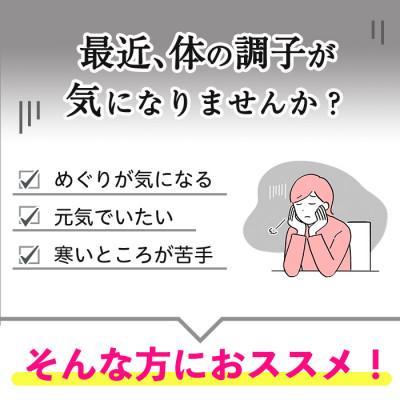 ふるさと納税 日置市 【てまひま堂】にんにく卵黄生姜(1袋62粒入り×3袋)鹿児島　日置市　1日2粒目安 |  | 01