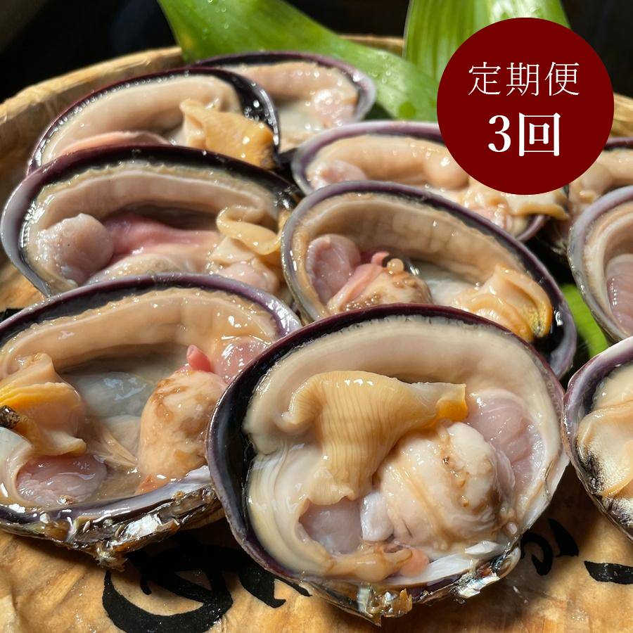 【3カ月定期便】〈岬水産〉知多半島産　天然「大あさり」半割り（特大サイズ）8個入