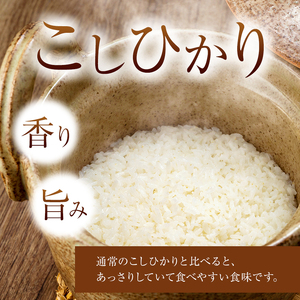 【ふるなび限定】令和7年産  新米 こしひかり 15kg （無洗米） 宮崎県産 | 米 こめ お米 おこめ 精米 白米 コシヒカリ 宮崎県 五ヶ瀬町 FN-Limited  