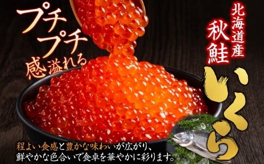 ニッスイ 北海道秋鮭いくら醤油漬け 2kg （100g × 20）いくら イクラ 醤油漬け 魚卵 魚介 魚介類 北海道産 国産 北海道 小樽市 冷凍