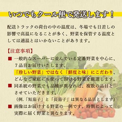 ふるさと納税 時津町 【発送月固定定期便】こだわり野菜セット 7品目以上 詰め合わせ (時津町)全4回 |  | 03