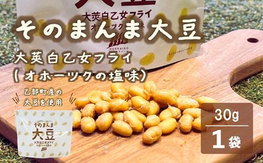 ＜大莢白乙女フライ 1個セット＞北海道 北海道産 大莢白乙女 大豆  フライ そのまんま そのまんまシリーズ