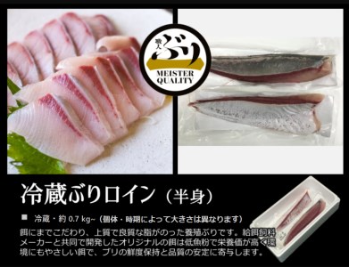 B2-4735／【鹿児島産ぶり】冷蔵・ぶり皮無ロイン（背腹計2ｐ）