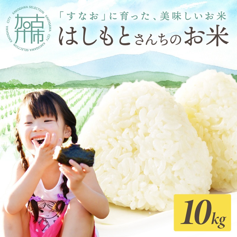 【令和7年産 2025年11月より順次発送】はしもとさんちのお米(10kg)《 お米 米 ヒノヒカリ 精米 お米10kg お米10キロ ごはん ご飯 》【2503B14302】