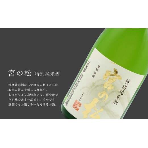 《The SAGA 認定酒》さがん酒 宮の松 飲み比べセット（ 純米大吟醸酒 ・純米吟醸酒・特別純米酒 ）720ml×3本 【佐嘉蔵屋】佐賀 松尾酒造場 大賞 金賞 最高峰受賞 宮の松 純米大吟醸 純