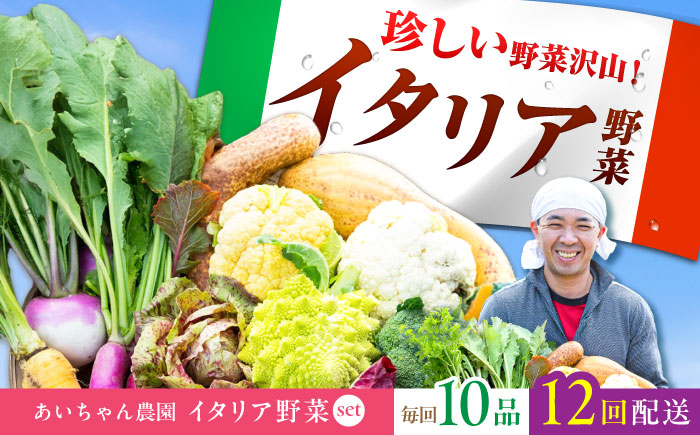 【10品×12回定期便】農薬に頼らない！カラダにやさしい「イタリア野菜」セット（レギュラー）【吉野ヶ里あいちゃん農園】[FAA018]