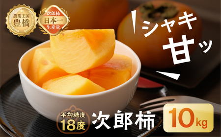次郎柿 10kg 豊橋 甘 柿