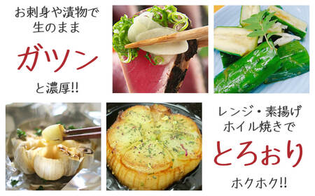 令和8年産朝採り直送！田子（たっこ）生にんにく約1kg（青森県田子町産にんにくM～Lサイズ混合）