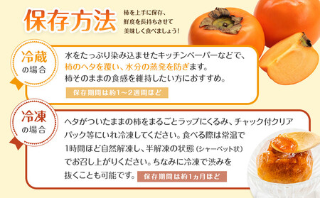 【2025年11月上旬以降発送】◆先行予約◆和歌山県産 富有柿 ＜ご家庭用＞ 約3kg 満杯詰め