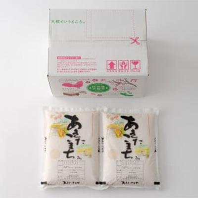 ふるさと納税 大館市 【新米先行受付】令和7年産ホタルが舞う清らかな環境で育った「あきたこまち」4kg(2kg×2袋) |  | 02