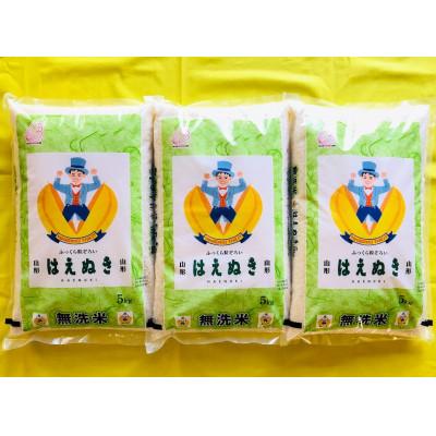 ふるさと納税 酒田市 【毎月定期便】無洗米 はえぬき 5kg全3回