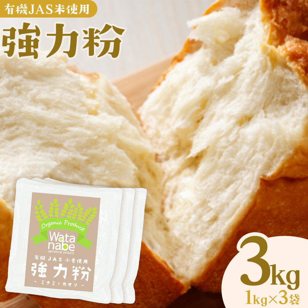 【ふるさと納税】有機JAS小麦使用 強力粉 合計3kg 1kg×3袋 《30日以内に出荷予定(土日祝除く)》熊本県 菊池市 小麦粉 ミナミノカオリ パンづくり 粉類 国産 九州産 熊本県産 送料無料