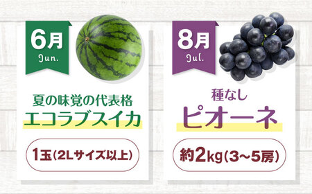 フルーツ定期便【全6回】2027年1月から発送 定期便 [AGBN052]