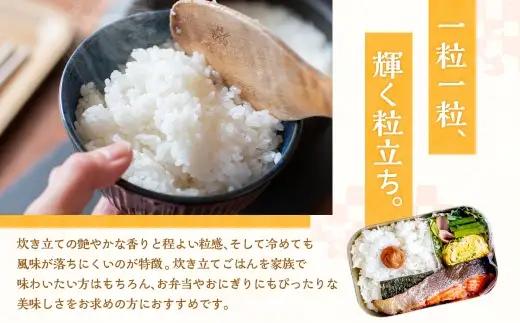 【 令和8年産 】 静岡県産コシヒカリ 精米 10kg （ 5kg × 2袋 ） こしひかり 弁当 お米 米 こめ コメ 白米 白飯 飯 ご飯 オニギリ おにぎり 【 2026年8月下旬～2027年8