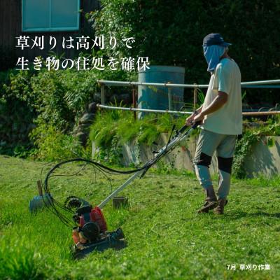 ふるさと納税 佐渡市 【発送月固定定期便】【在来コシヒカリ】白米 5kg 新潟県佐渡産全6回 |  | 01