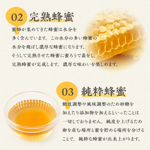 春の花香る生駒の百花蜜 春の花香る 生駒市産 100％ 蜂蜜 500g 百花蜜 調味料 非加熱 完熟蜂蜜 濃厚 国産 純粋はちみつ ヨーグルトトッピング のどのケア 最適 逆止弁ボトル 贈り物 お取り