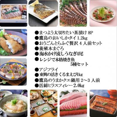 ふるさと納税 松浦市 お届けオーダーメイド!松浦お魚パラダイスDX　10種セット |  | 01