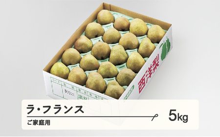 ラ・フランス ご家庭用 約5kg(8~20個程度) 洋梨 山形県産 tf-lamxx5