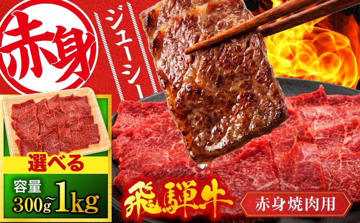
                  飛騨牛 赤身 焼肉用 容量が選べる （300g～1000ｇ）【有限会社マルゴー】 A5 赤身肉 焼肉 冷凍 飛騨牛 和牛 黒毛和牛 ブランド牛 銘柄牛 岐阜県産 [MBE080]
                