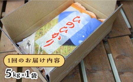 【全3回定期便】糸島産 ひのひかり 5kg × 3回  糸島市 / 三島商店  米 お米 ご飯 白米 ヒノヒカリ ひのひかり 九州 福岡[AIM008]