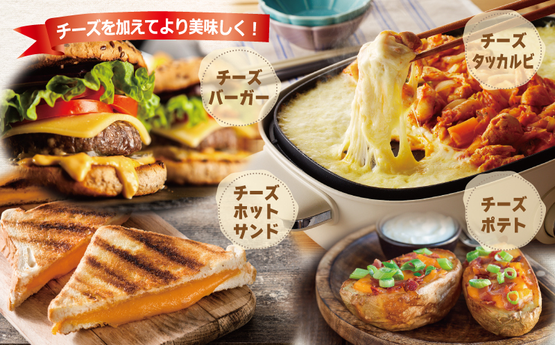【ムラカワチーズ】JUCOVIA 業務用 チェダースライスチーズ 20枚×2パック・オランダゴーダーシュレッド 1kg×1パック 099H2984_イメージ4