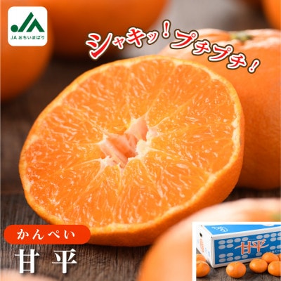 愛媛県今治産柑橘 甘平 5kg シャキッと食感の大人気果物【ご家庭用】【C078】【配送不可地域：離島】