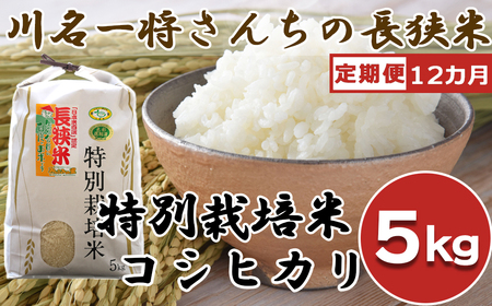 【定期便】【令和6年産】川名一将さんちの長狭米 特別栽培米コシヒカリ5kg×12カ月 [0144-0001]