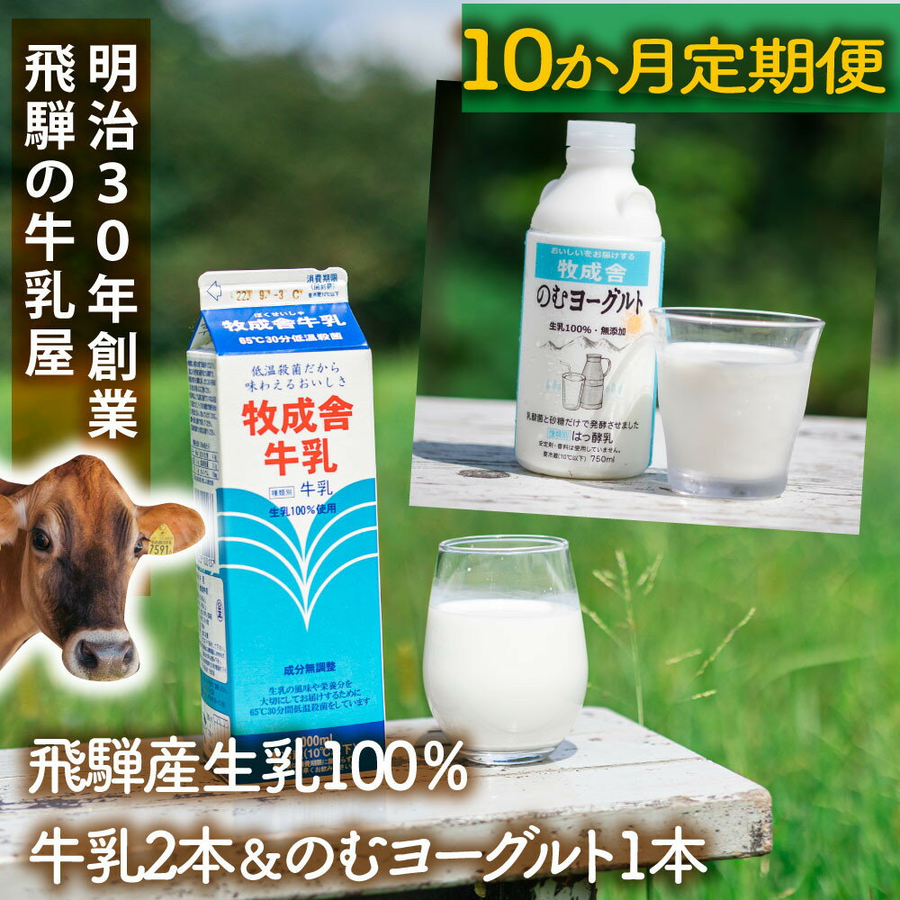 【ふるさと納税】【10か月定期便】牧成舎の飛騨産低温殺菌牛乳と飲むヨーグルトセット｜牛乳1000ml×2本＋のむヨーグルト750ml×1本｜食品添加物不使用・お取り寄せ・健康習慣｜ (有)牧成舎 DF238