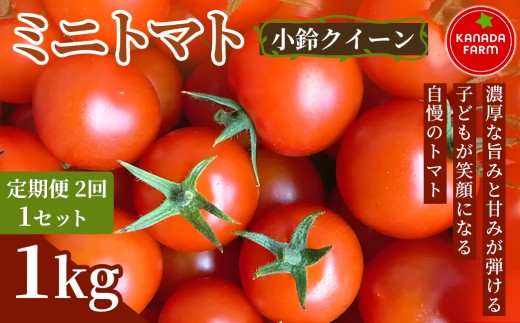 《先行予約》【定期便2ヶ月】ミニトマト（小鈴クイーン）1kg 1セット 新鮮野菜 旬 サラダ デザート お弁当 朝食 料理用 そのまま食べる おうちごはん お取り寄せ 産地直送 贈り物 手土産 愛知県 豊橋市
