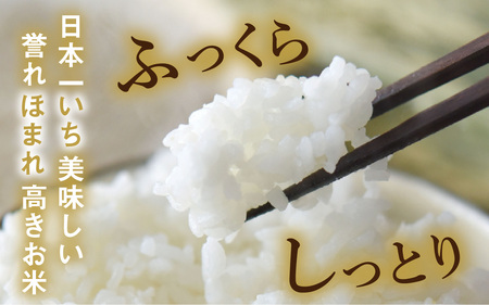 【令和7年産】福井が生んだブランド米「福井県産いちほまれ」【5kg 3袋 無洗米】 [E-014010] / 米 こめ お米 コメ ごはん ご飯 飯 送料無料 5kg 5キロ 15キロ 福井市 福井県