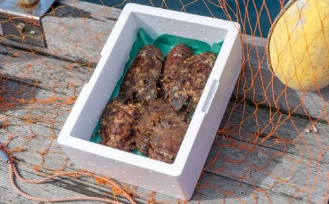 幻の天然ゾウリエビ１kg（サイズおまかせ）※着日指定不可※タビエビ 甲殻類 海老 地元ですら流通しない希少セミエビ科 先行予約 高知県産 エビ ゾウリエビ 冷蔵 配送 賞味期限が短い 新鮮 美味しい 