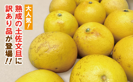 【訳あり・数量限定】熟成の土佐文旦5kg 家庭用 訳あり 訳アリ わけあり 大人気 人気 リピーター 予約 先行 旬 文旦 ぶんたん ブンタン フルーツ 果物 柑橘 四万十市 四万十 しまんと 高知 