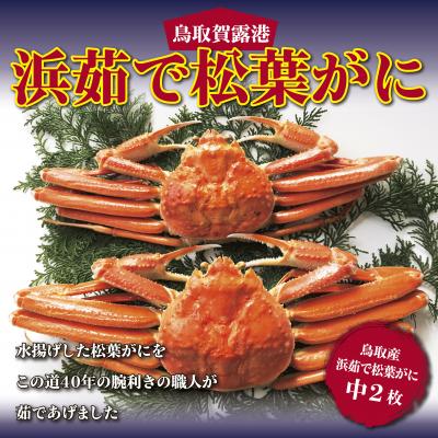 ふるさと納税 鳥取市 鳥取賀露港 浜茹で松葉がに (かねまさ・浜下商店)